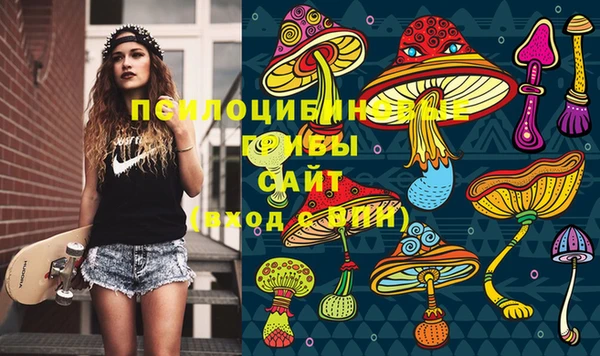 mdma Новодвинск