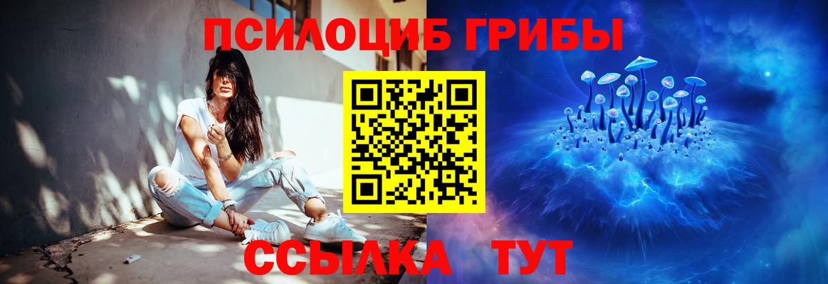 Псилоцибиновые грибы мицелий Чернушка